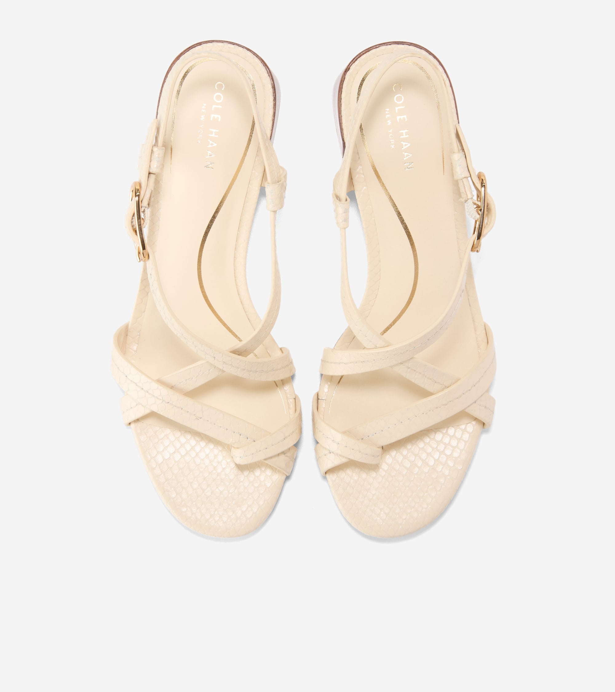 Women's Dillon Block Heel Thong Sandals - Image 4